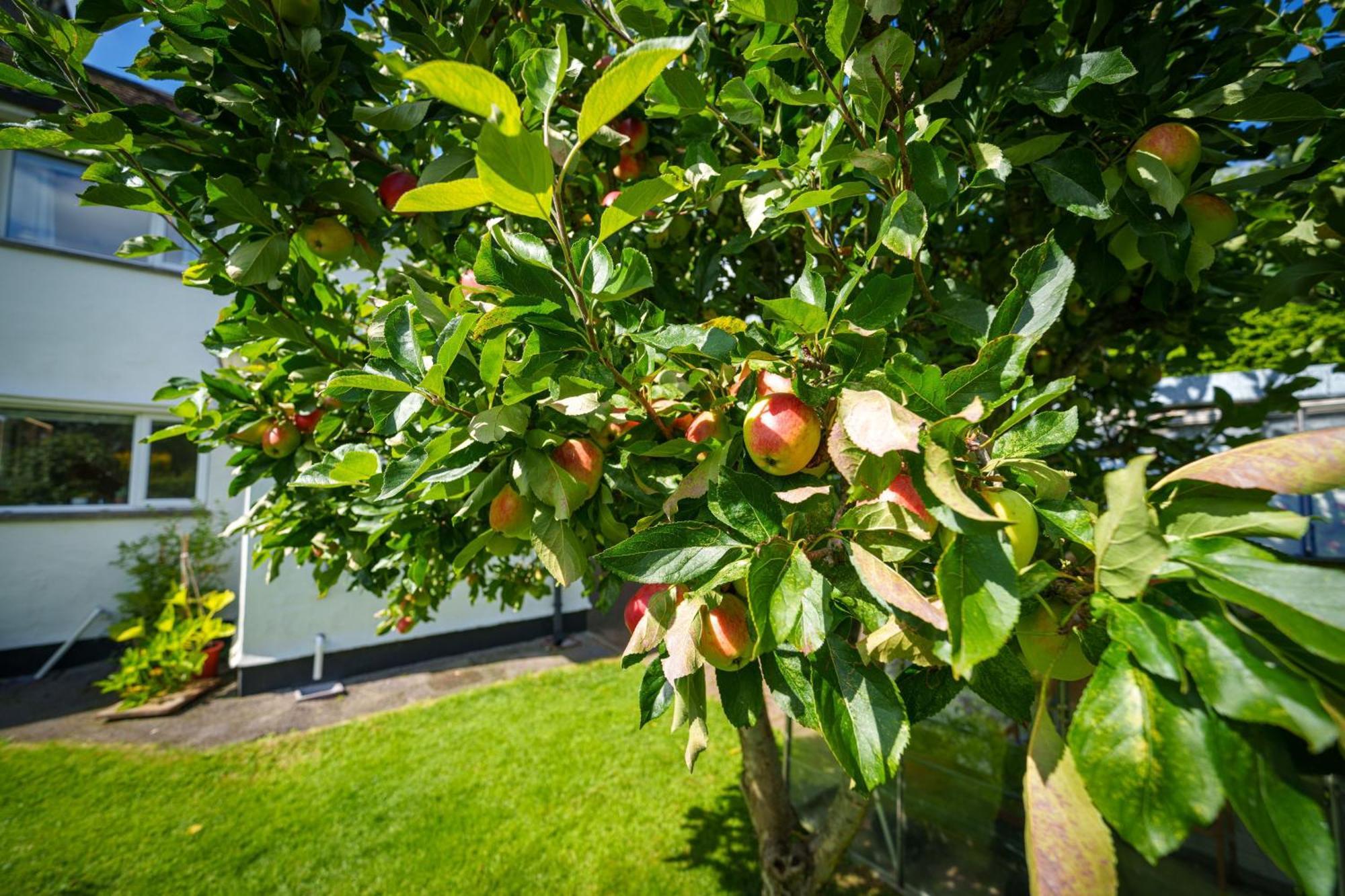 Apple Byrd - Short Stroll Into Kendal Town Centre Villa Kültér fotó